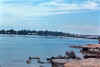 myca01.jpg (26513 bytes)