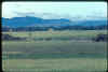 phucat08.jpg (26654 bytes)