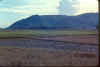 phutai09.jpg (26962 bytes)