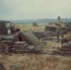 tuyhoa12.jpg (15508 bytes)